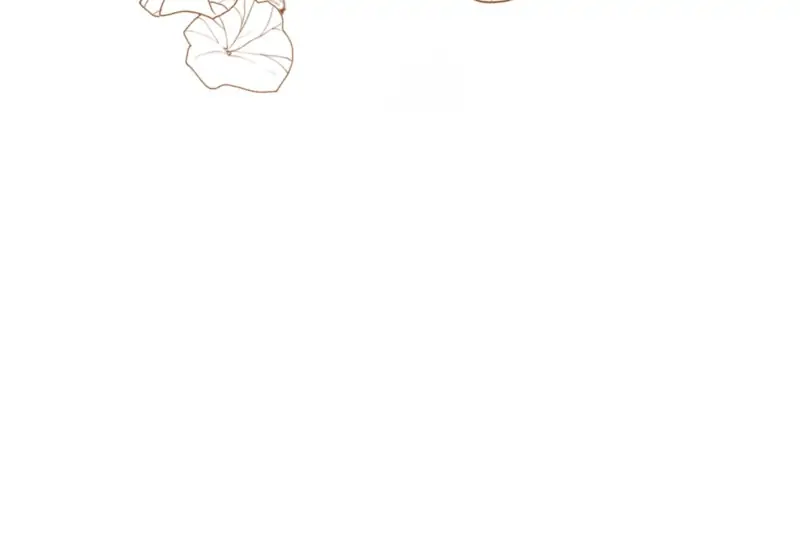 Page (11)